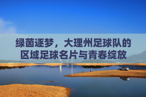 绿茵逐梦，大理州足球队的区域足球名片与青春绽放