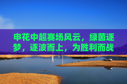 申花中超赛场风云,绿茵逐梦,逐波而上,为胜利而战——记上海申花队在中超联赛中的精彩征程,申花中超赛场风云,绿茵逐梦,逐波而上,为胜利而战——记上海申花队在中超联赛中的精彩征程