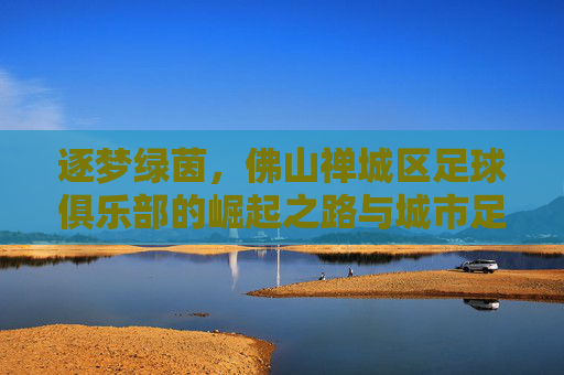 逐梦绿茵,佛山禅城区足球俱乐部的崛起之路与城市足球文化传承