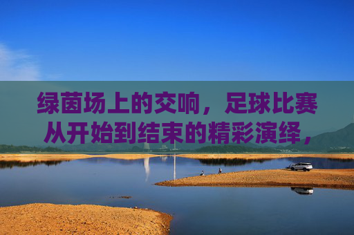 绿茵场上的交响，足球比赛从开始到结束的精彩演绎，绿茵场上的交响，足球比赛从开始到结束的精彩演绎