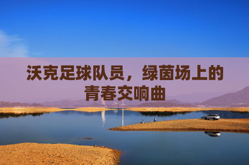 沃克足球队员，绿茵场上的青春交响曲
