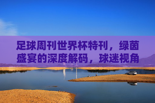 足球周刊世界杯特刊，绿茵盛宴的深度解码，球迷视角的激情共鸣