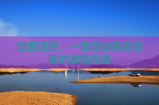 绿茵逐梦，一场足球赛邀请赛的激情碰撞