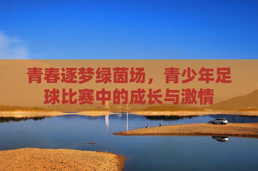 青春逐梦绿茵场，青少年足球比赛中的成长与激情
