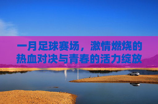一月足球赛场,激情燃烧的热血对决与青春的活力绽放,一月足球赛场,激情燃烧的热血对决与青春活力绽放