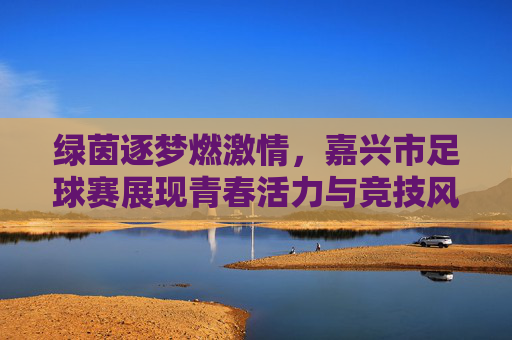 绿茵逐梦燃激情，嘉兴市足球赛展现青春活力与竞技风采