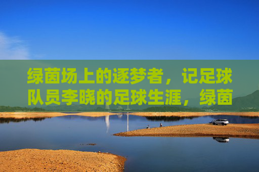绿茵场上的逐梦者,记足球队员李晓的足球生涯,绿茵场上的逐梦者,记足球队员李晓的足球生涯
