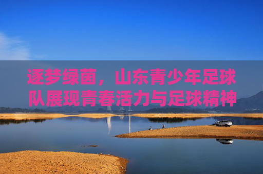 逐梦绿茵，山东青少年足球队展现青春活力与足球精神，逐梦绿茵，山东青少年足球队展现青春活力与足球精神