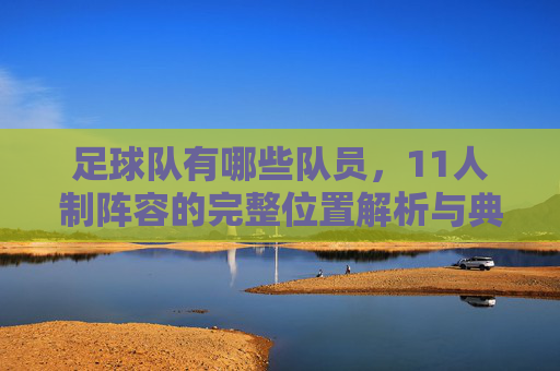 足球队有哪些队员,11人制阵容的完整位置解析与典型代表