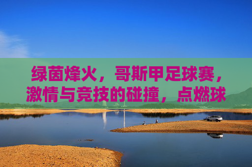 绿茵烽火，哥斯甲足球赛，激情与竞技的碰撞，点燃球迷热情的年度盛宴，绿茵烽火燃动哥斯甲，激情与竞技的碰撞点燃球迷热情的年度盛宴