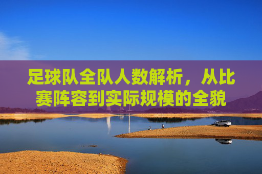 足球队全队人数解析,从比赛阵容到实际规模的全貌