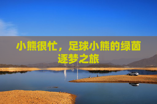 小熊很忙，足球小熊的绿茵逐梦之旅