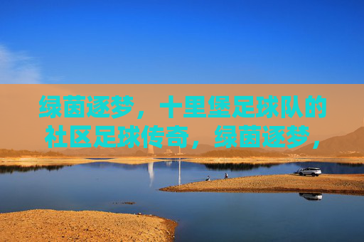 绿茵逐梦，十里堡足球队的社区足球传奇，绿茵逐梦，十里堡足球队的社区足球传奇