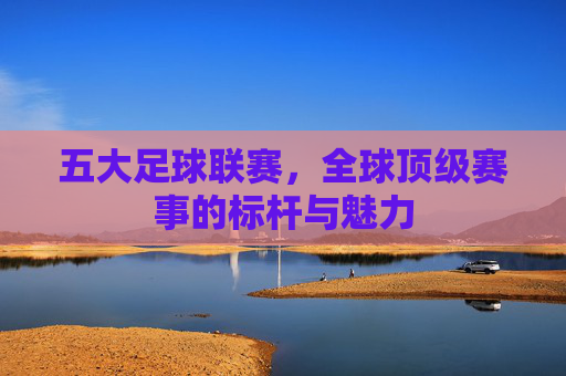 五大足球联赛,全球顶级赛事的标杆与魅力