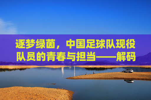 逐梦绿茵，中国足球队现役队员的青春与担当——解码中国足球新力量，逐梦绿茵，中国足球队现役队员的青春与担当——解码中国足球新力量