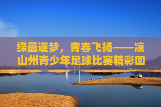 绿茵逐梦，青春飞扬——凉山州青少年足球比赛精彩回顾，绿茵逐梦，青春飞扬——凉山州青少年足球比赛精彩回顾