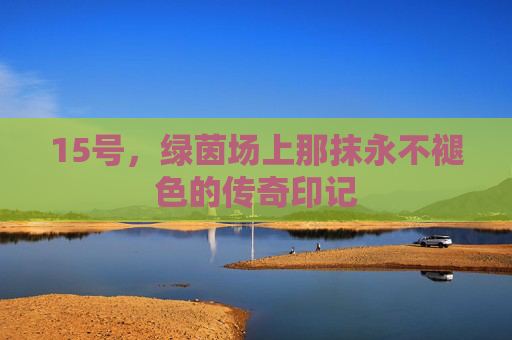 15号,绿茵场上那抹永不褪色的传奇印记