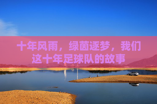 十年风雨,绿茵逐梦,我们这十年足球队的故事