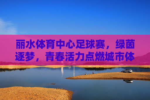 丽水体育中心足球赛，绿茵逐梦，青春活力点燃城市体育激情