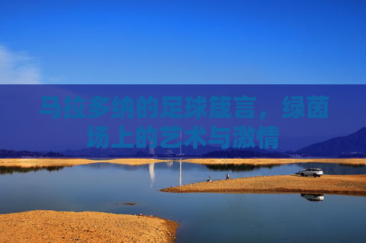 马拉多纳的足球箴言，绿茵场上的艺术与激情