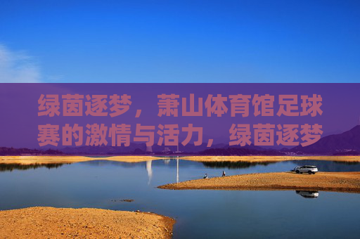 绿茵逐梦，萧山体育馆足球赛的激情与活力，绿茵逐梦，萧山体育馆足球赛的激情与活力