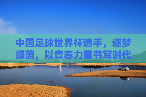 中国足球世界杯选手，逐梦绿茵，以青春力量书写时代答卷，中国足球世界杯选手，逐梦绿茵，以青春力量书写时代答卷