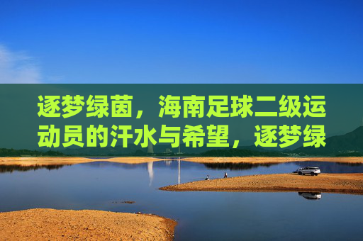 逐梦绿茵,海南足球二级运动员的汗水与希望,逐梦绿茵,海南足球二级运动员的汗水与希望