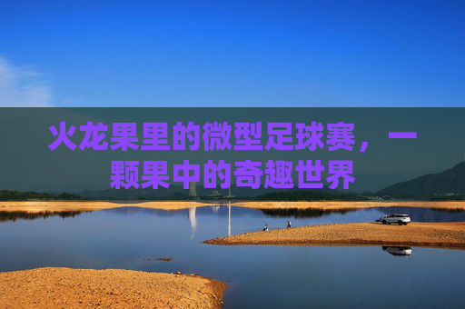 火龙果里的微型足球赛,一颗果中的奇趣世界