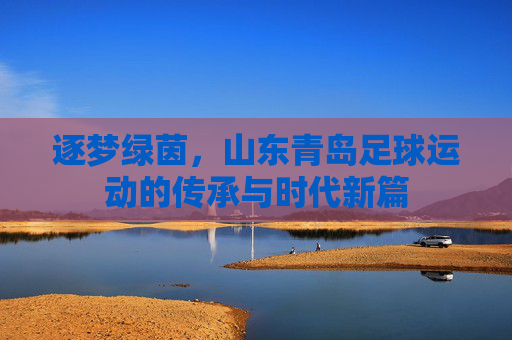 逐梦绿茵,山东青岛足球运动的传承与时代新篇