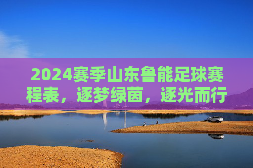 2024赛季山东鲁能足球赛程表,逐梦绿茵,逐光而行——球迷观赛指南与球队征程解读