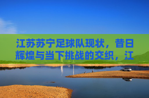 江苏苏宁足球队现状,昔日辉煌与当下挑战的交织,江苏苏宁足球队现状,昔日辉煌与当下挑战的交织