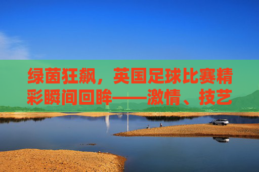 绿茵狂飙，英国足球比赛精彩瞬间回眸——激情、技艺与荣耀的交织