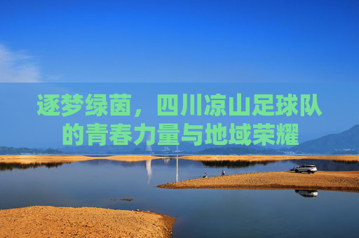 逐梦绿茵，四川凉山足球队的青春力量与地域荣耀