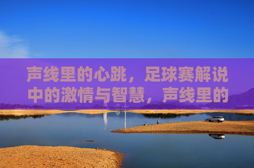 声线里的心跳，足球赛解说中的激情与智慧，声线里的心跳，足球赛解说中的激情与智慧