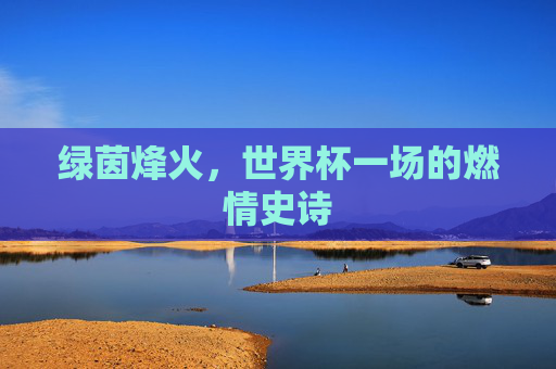 绿茵烽火，世界杯一场的燃情史诗