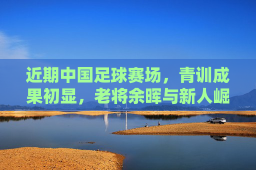 近期中国足球赛场,青训成果初显,老将余晖与新人崛起交织,挑战与希望并存