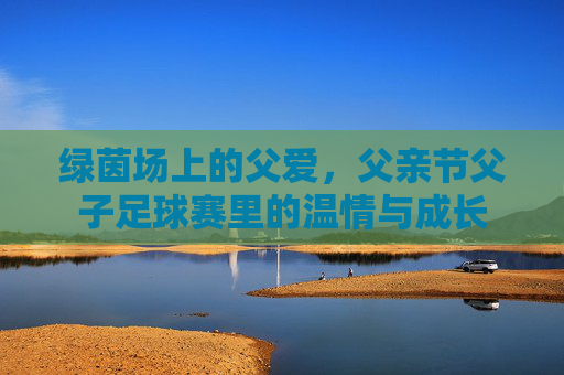 绿茵场上的父爱,父亲节父子足球赛里的温情与成长