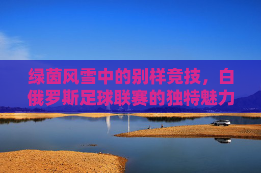 绿茵风雪中的别样竞技，白俄罗斯足球联赛的独特魅力与时代印记，绿茵风雪中的别样竞技，白俄罗斯足球联赛的独特魅力与时代印记