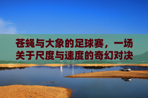苍蝇与大象的足球赛，一场关于尺度与速度的奇幻对决