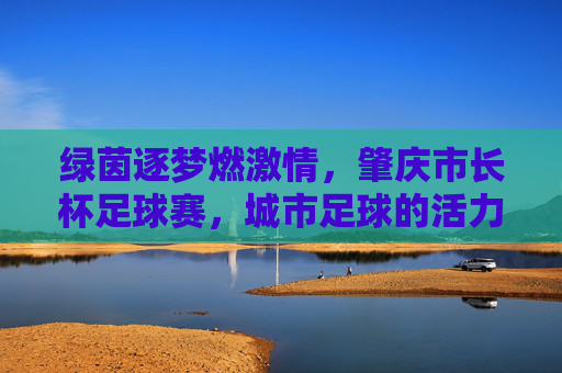 绿茵逐梦燃激情，肇庆市长杯足球赛，城市足球的活力脉搏与全民体育的璀璨绽放