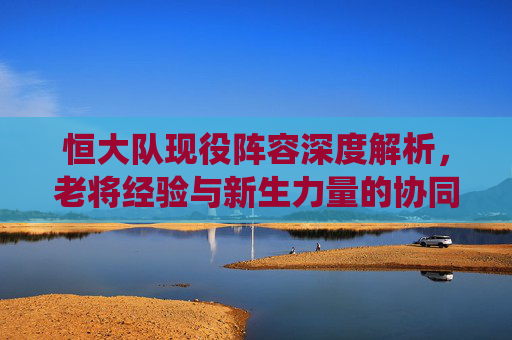 恒大队现役阵容深度解析,老将经验与新生力量的协同发展