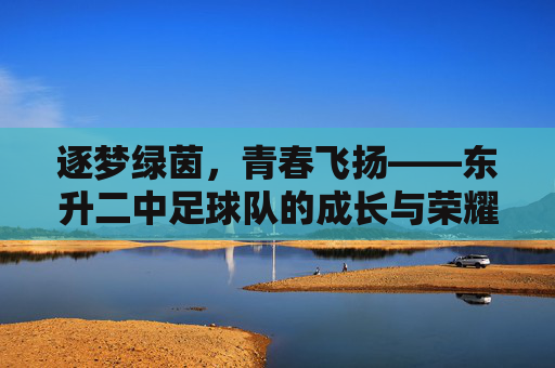 逐梦绿茵，青春飞扬——东升二中足球队的成长与荣耀