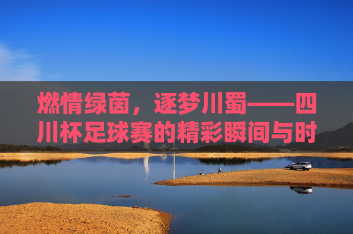 燃情绿茵，逐梦川蜀——四川杯足球赛的精彩瞬间与时代意义