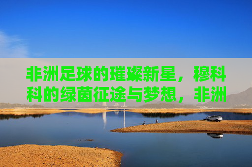 非洲足球的璀璨新星,穆科科的绿茵征途与梦想,非洲足球的璀璨新星,穆科科的绿茵征途与梦想