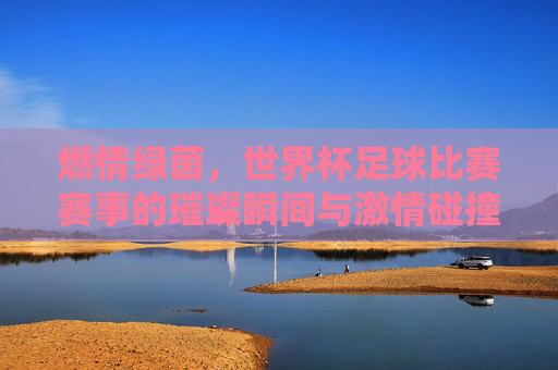 燃情绿茵，世界杯足球比赛赛事的璀璨瞬间与激情碰撞，燃情绿茵，世界杯足球比赛的璀璨瞬间与激情碰撞