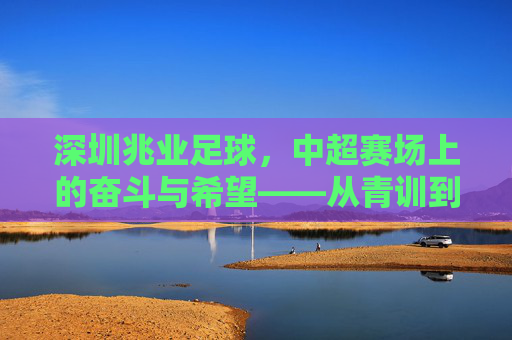 深圳兆业足球,中超赛场上的奋斗与希望——从青训到竞技的逐梦之路