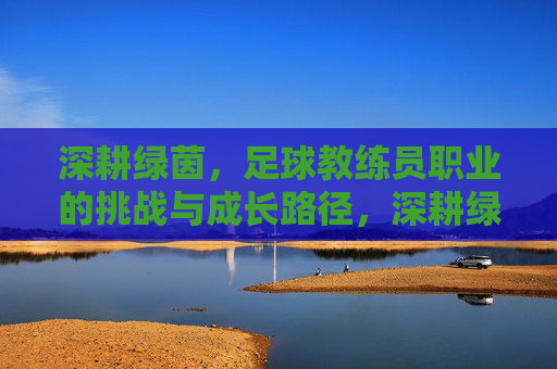 深耕绿茵,足球教练员职业的挑战与成长路径,深耕绿茵,足球教练员职业的挑战与成长路径