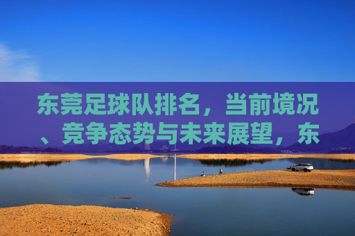东莞足球队排名，当前境况、竞争态势与未来展望，东莞足球队排名，当前境况、竞争态势与未来展望