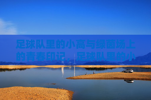 足球队里的小高与绿茵场上的青春印记，足球队里的小高与绿茵场上的青春印记