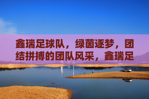 鑫瑞足球队，绿茵逐梦，团结拼搏的团队风采，鑫瑞足球队，绿茵逐梦，团结拼搏的团队风采